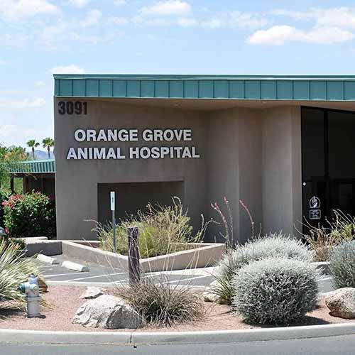Orange Grove Animal Hospital Scott Rumel Architect